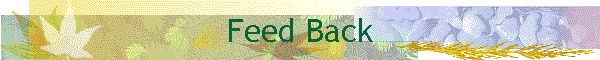 Feed Back