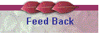 Feed Back