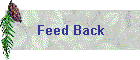 Feed Back
