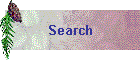 Search